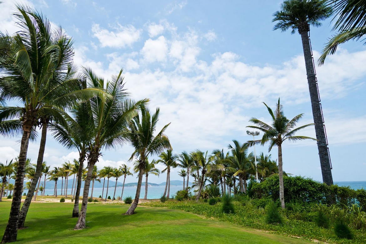 Dongjiao Coconut Forest